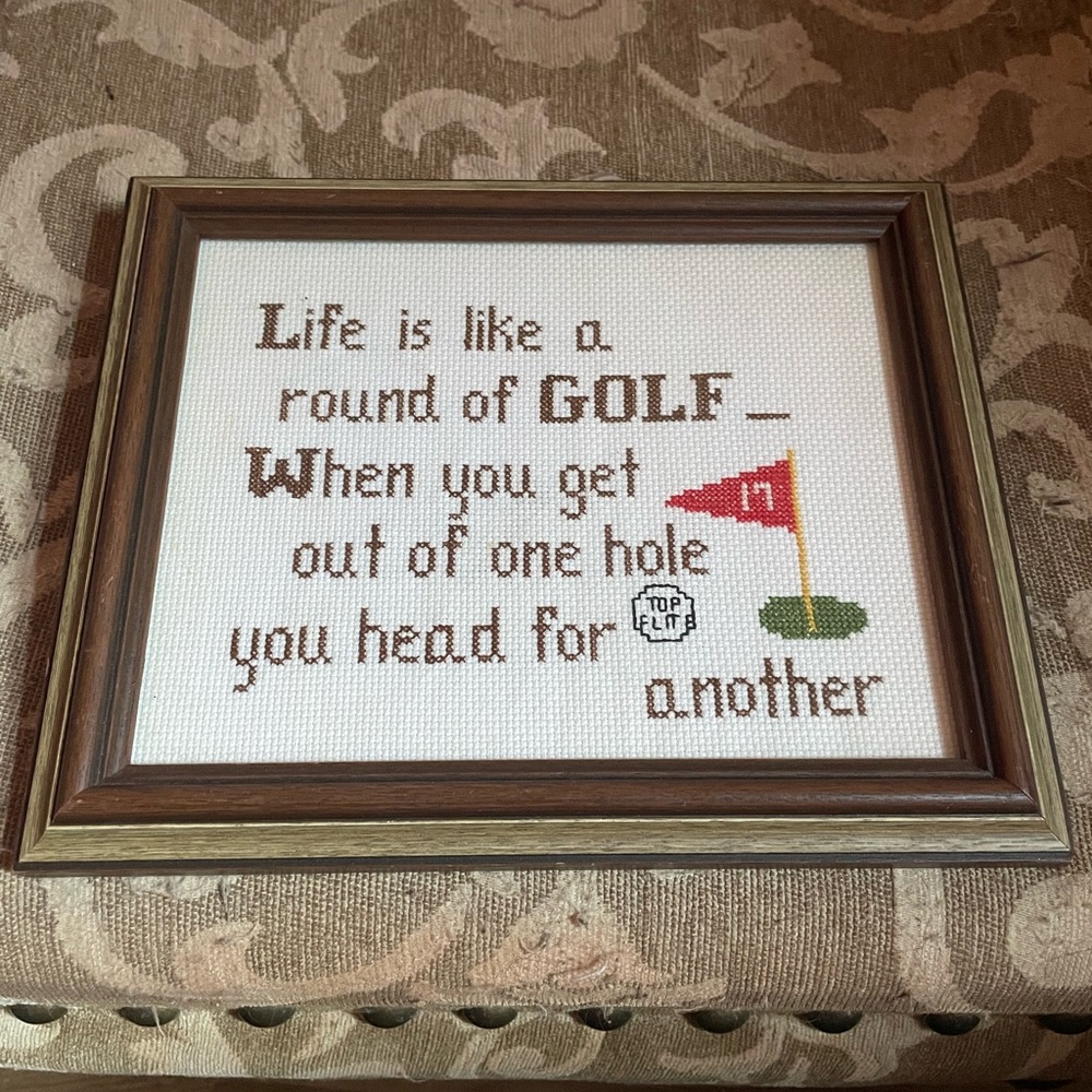 Golf-Themed Cross-Stitch Art in Frame, Vintage
“ Life is Like A Round of Golf “